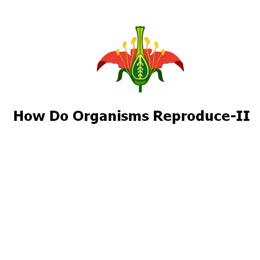 How Do Organisms Reproduce-II